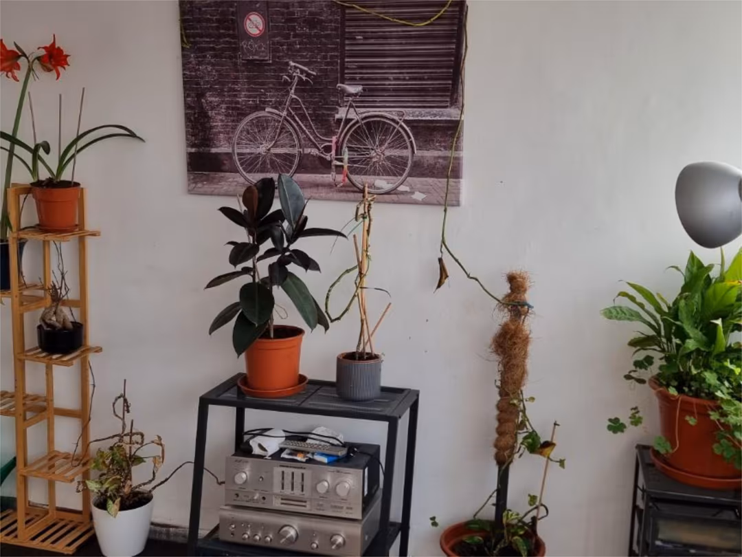 Piso en  Paseo de Alberto Palacios 82 - Foto 16