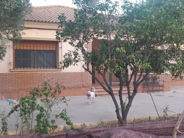 Casa o chalet independiente en Barrio Ochavillo, 276, El Higuerón - Foto 3