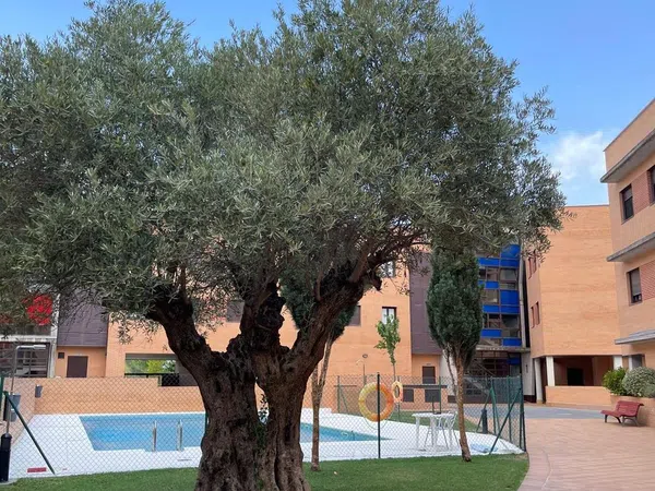 Piso en Avenida de Madrid, 26, Villanueva de la Cañada, Villanueva de la Cañada - Foto 12