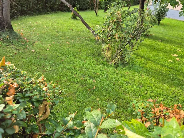 Piso en Barrio Águilas