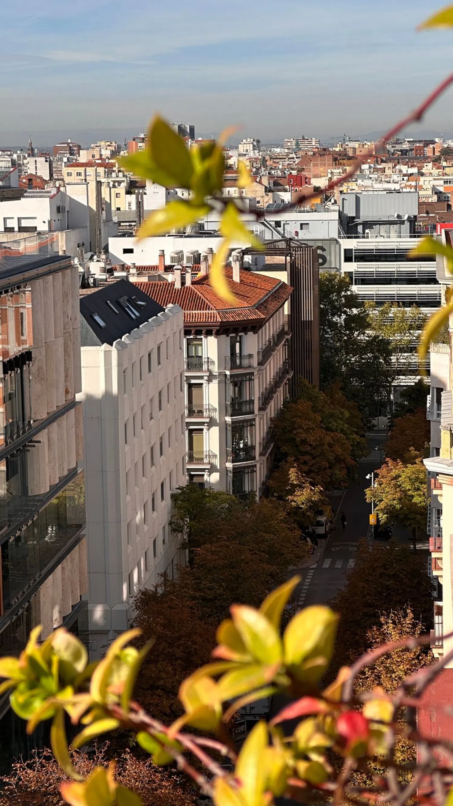 Ático en Barrio Castellana - Foto 3