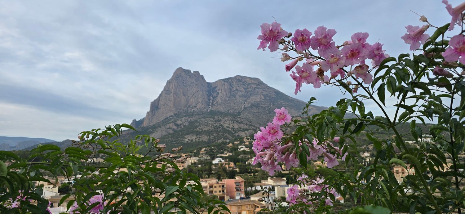 Chalet pareado en calle Oslo, 11 - Foto 34