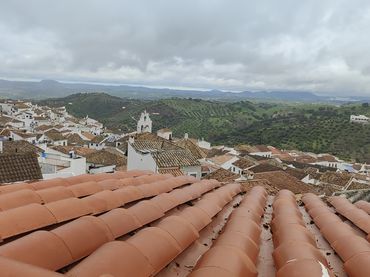 Planta baja en  Calle Parche 3 - Foto 5
