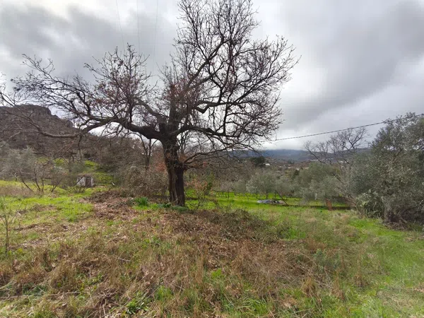 Finca rústica en Poblado los Arroyos de Abajo, 39 poligonoparcela - Foto 23