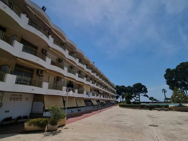 Estudio en Avenida de la Diputació, 168, Cap de San Pere - Foto 5