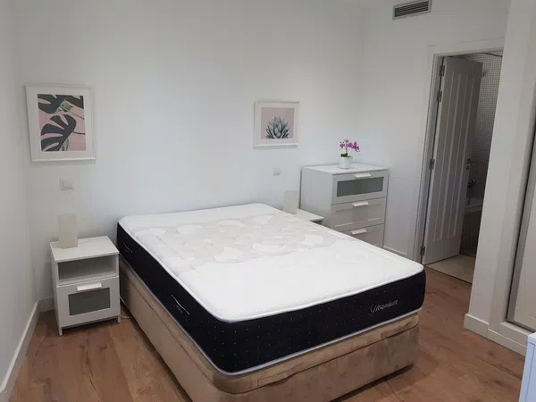 Estudio en Avenida de Atenas, 6, El Pinar- Punta Galea - Foto 6
