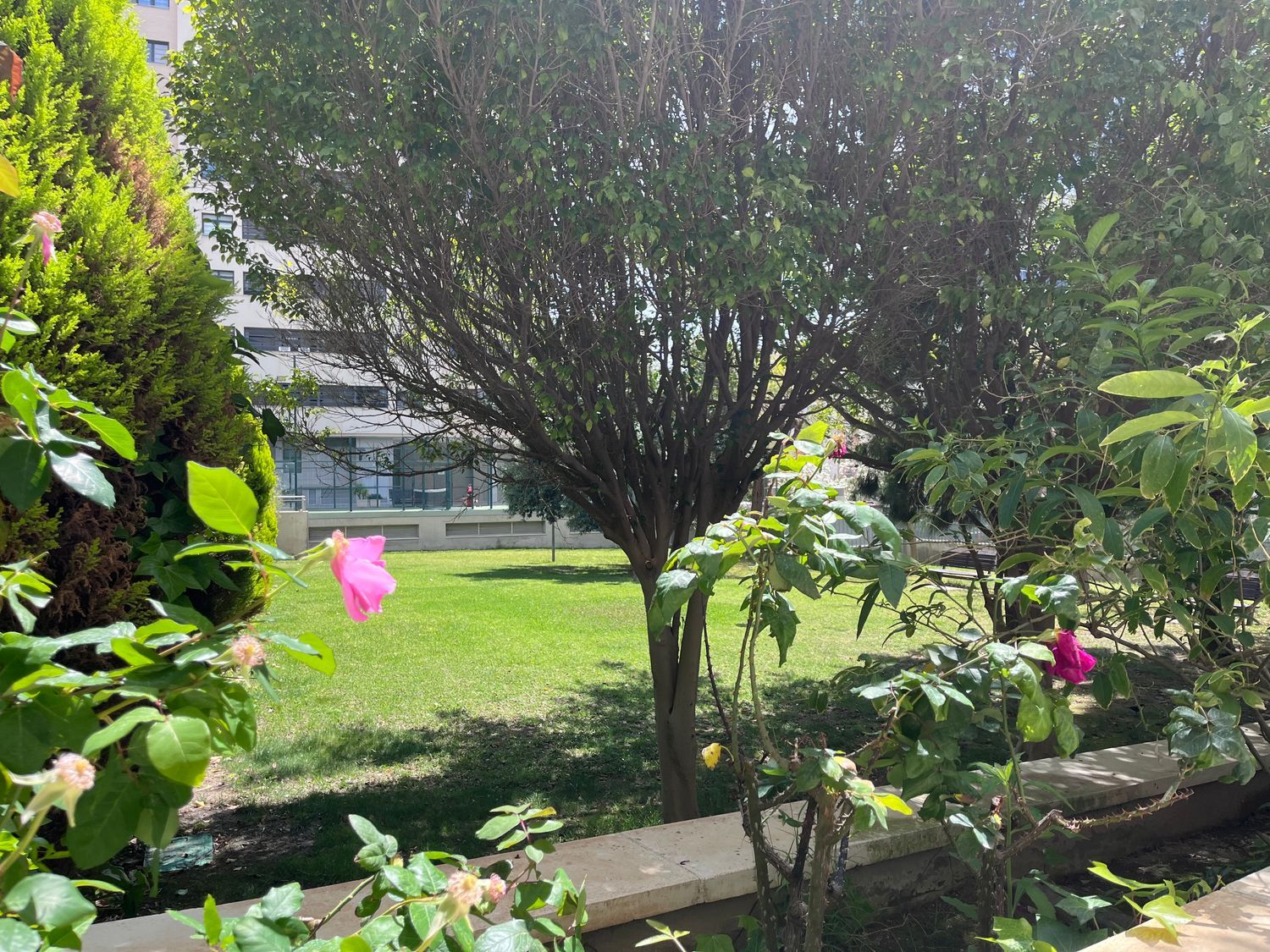 Piso en calle Médico Andrés Boldó, 1 - Foto 18