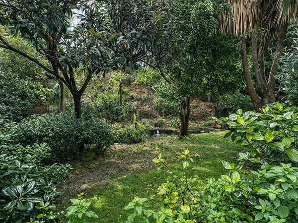 Piso en calle Roy Boston, 1 - Foto 6