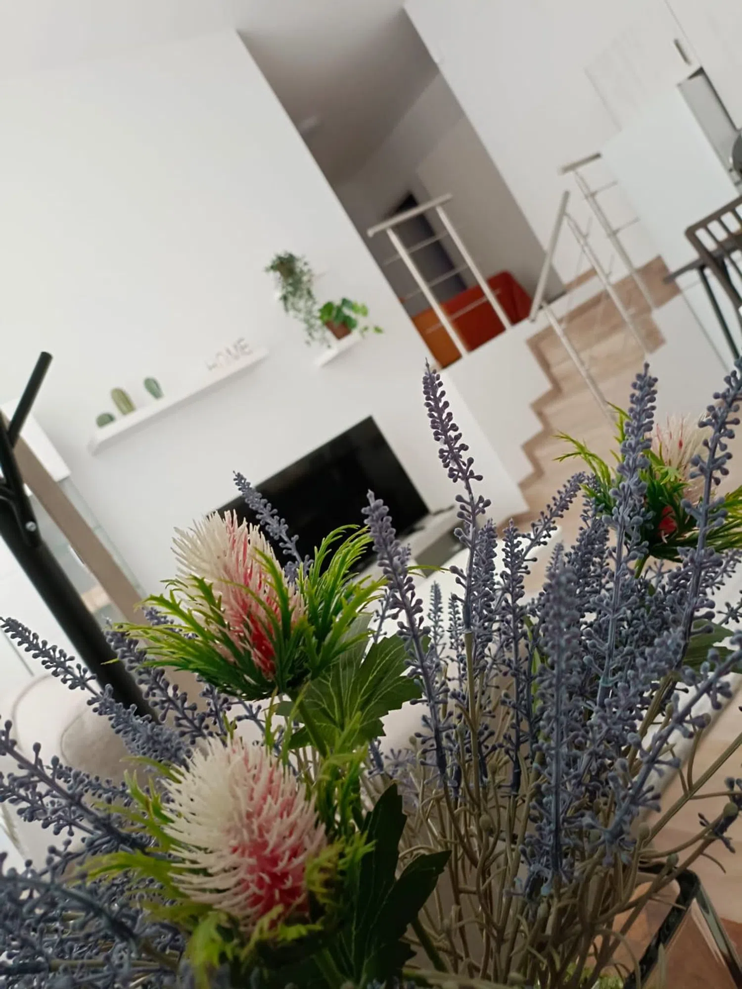 Estudio en calle Venegas, 8 - Foto 10