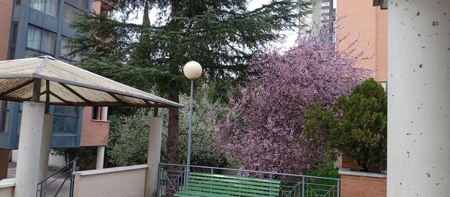 Piso en calle del Marqués de Altamira, 3 - Foto 21