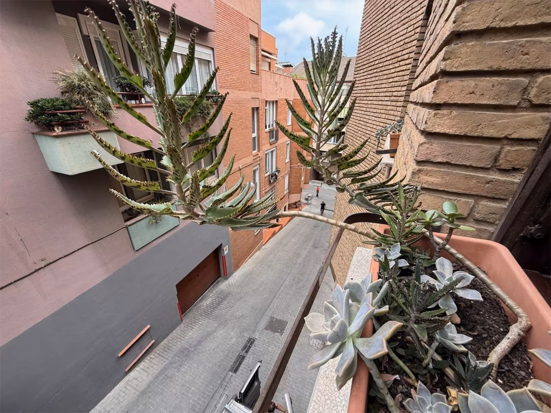 Piso en  Carrer del Putxet 75 - Foto 25