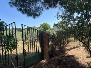 Finca rústica en  Calle Perdiz 84 - Foto 16