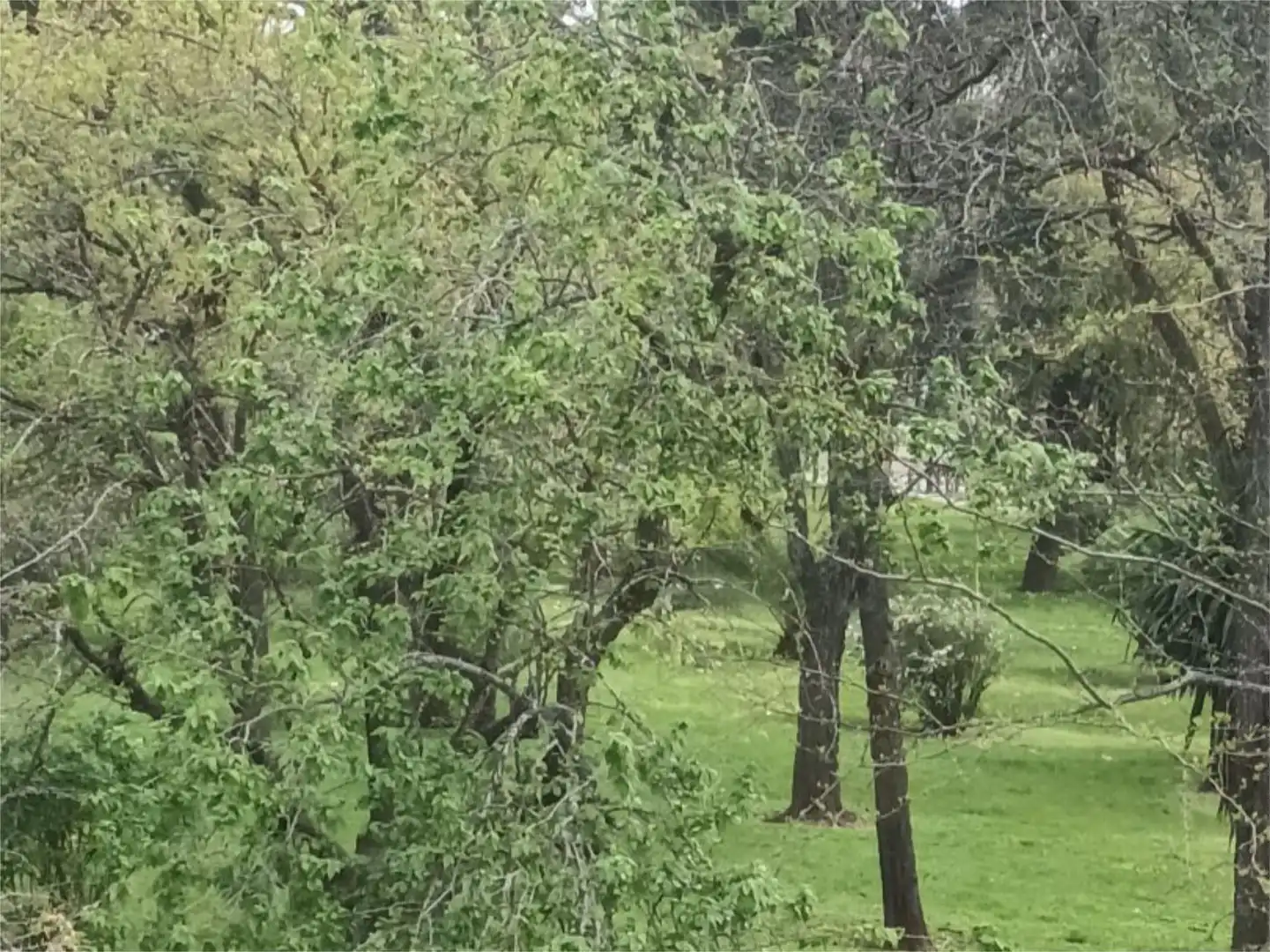 Piso en  Calle Pintor Murillo 3 - Foto 4