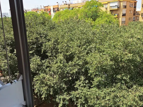 Piso en Avenida de Bellavista, 45, Bellavista - Foto 19