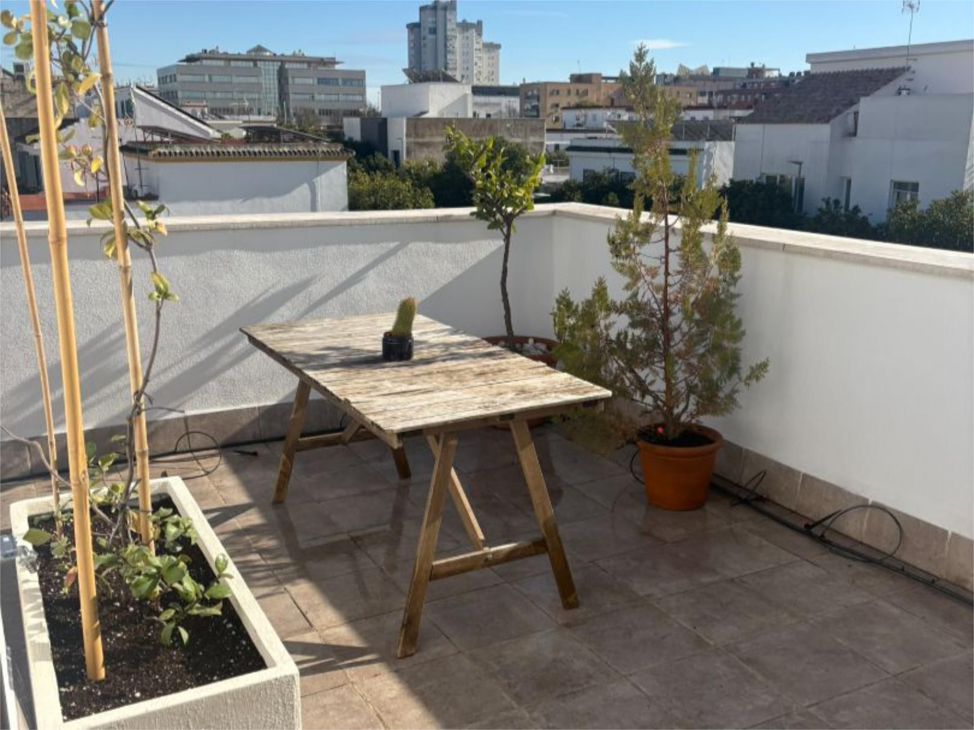 Piso en  Calle Fragata 2 - Foto 23