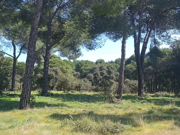 Piso en Carretera de El Plantío, 124, Zona Carretera del Plantío - Foto 1