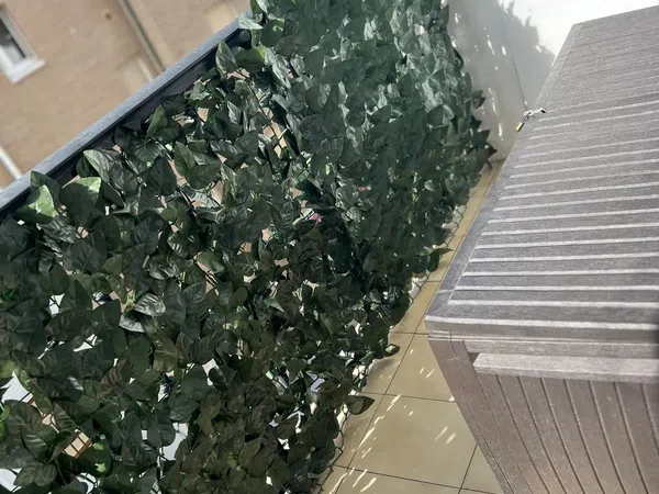 Piso en Paseo Canalejas, 16, Puerto Chico - Foto 6