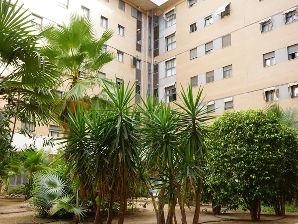 Piso en calle Camilo José Cela, 1 - Foto 15