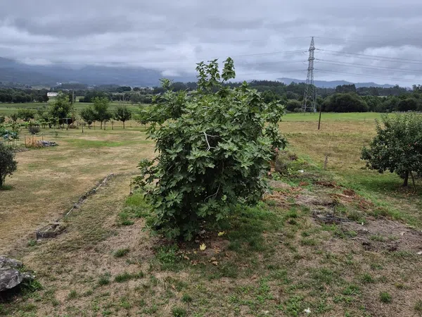 Casa rural en Lugar Pombal, 6 - Foto 19