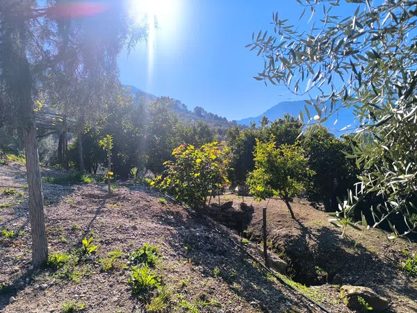 Cortijo en Via Sin Nombre s/n - Foto 2