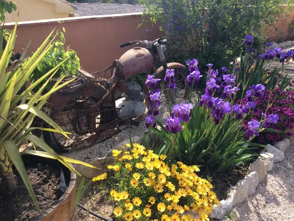 Casa o chalet independiente en Camino Teulars d' Ubeda, 120, Llombo, Llombo - Foto 37