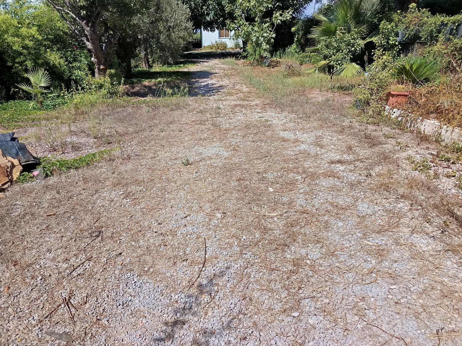 Cortijo en Cortijo en Partida Poligono 22, 220, Zona Llombai, Zona Llombai - Foto 18