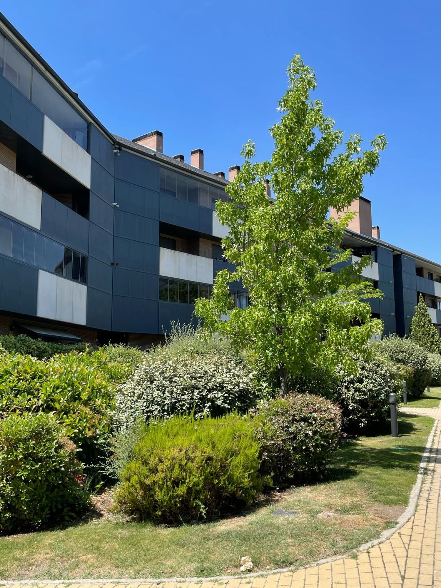Piso en Calle Isaac Albéniz, 87, Golf - El Carralero - Foto 7