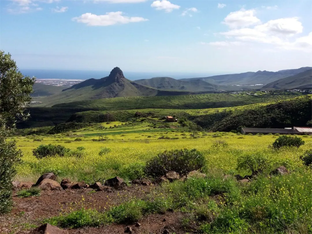 Finca rústica en calle Calle Espíritu Santo 15 - Foto 30