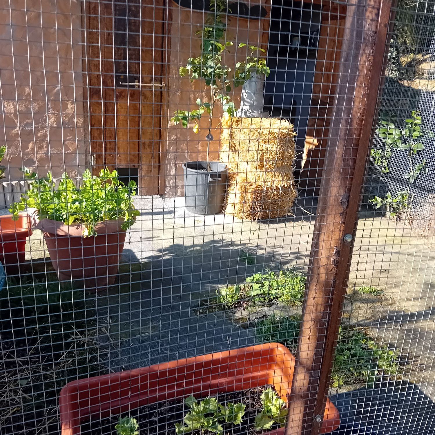 Casa de pueblo en Fontal, 5 - Foto 19