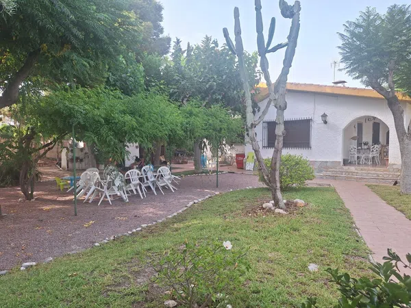 Casa o chalet independiente en Urbanización Condomina, 22, La Albufereta - Foto 10