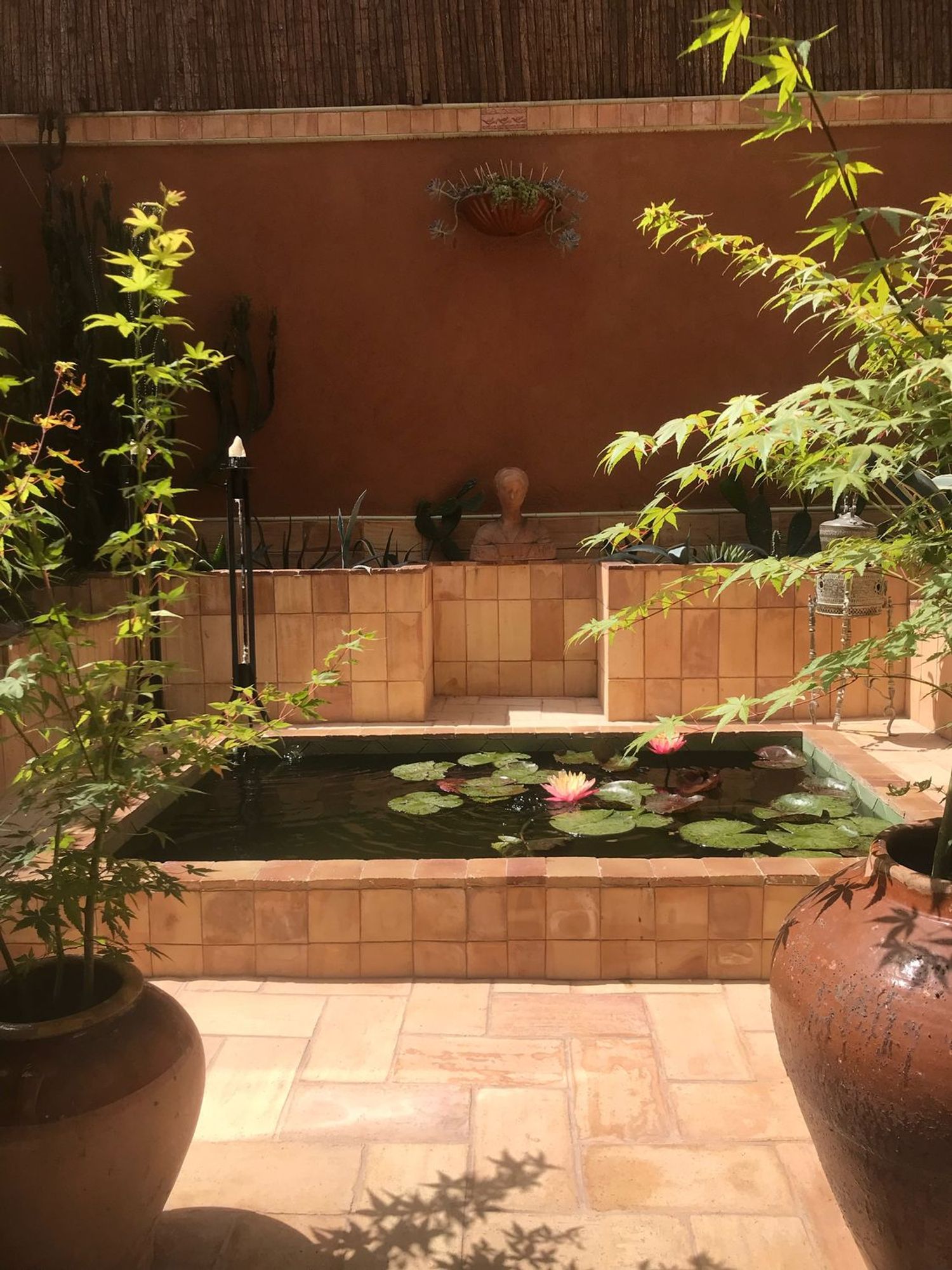 Estudio en calle del Ter, 31