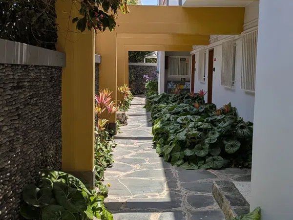 Piso en Calle Puccini, 6, Ciudad Jardín - Foto 8