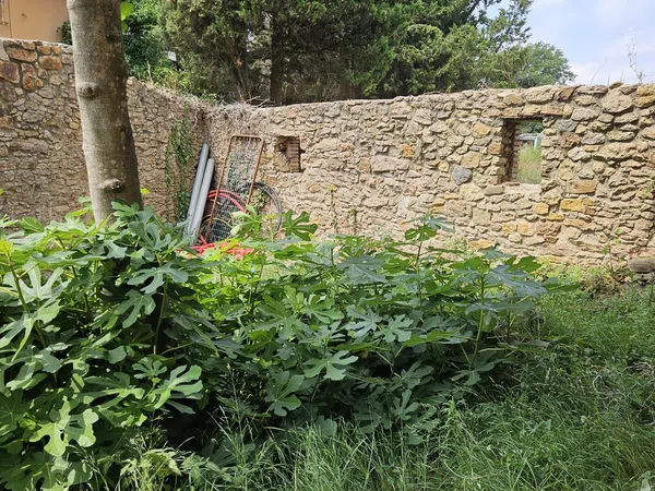 Finca rústica en C-66 s/n - Foto 5