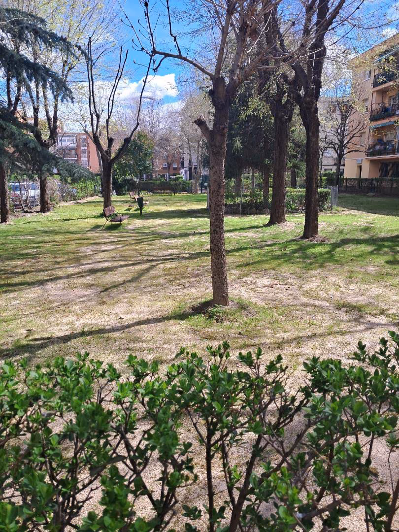 Estudio en  Paseo de la Alameda de Osuna 7 - Foto 16