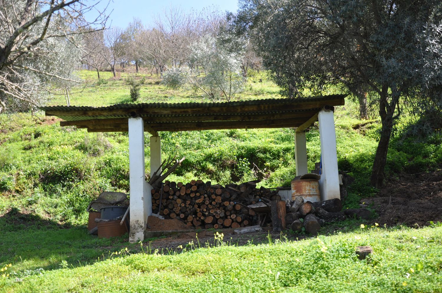 Finca rústica en Ma-8301 s/n - Foto 25