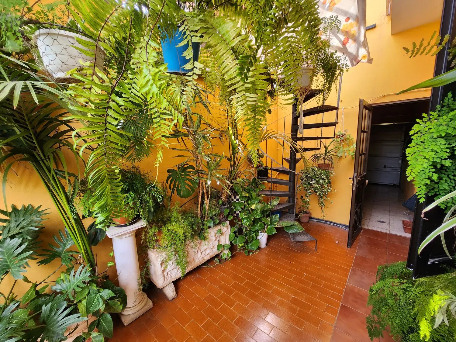 Casa independiente - Foto 3