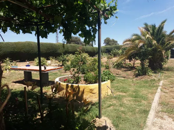 Casa o chalet independiente en Avenida Río Alberche, 24 - Foto 4