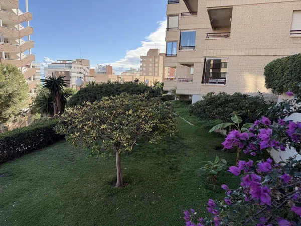 Piso en Calle Ifach, 6, Arenales del Sol, Arenales del Sol - Foto 24