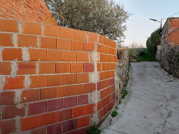 Finca rústica en Calle Cruces, 60 - Foto 7