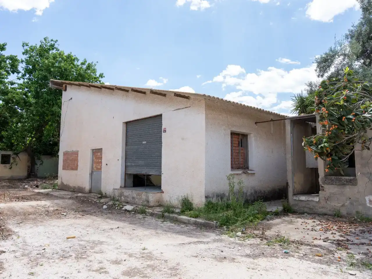 Finca rústica en  Avenida Pintor Gastón Castelló 72 - Foto 8