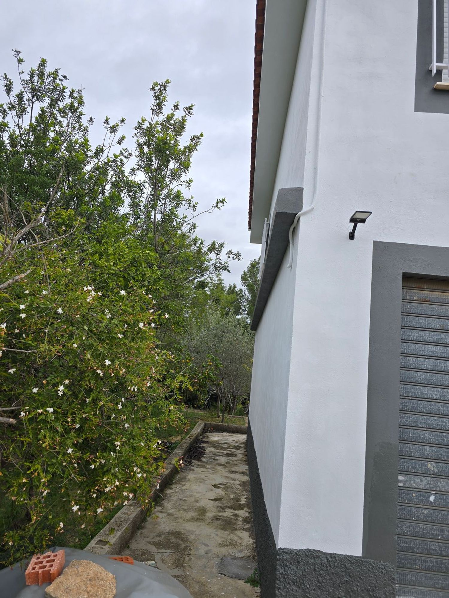 Casa o chalet independiente en Petunias, 19 - Foto 15