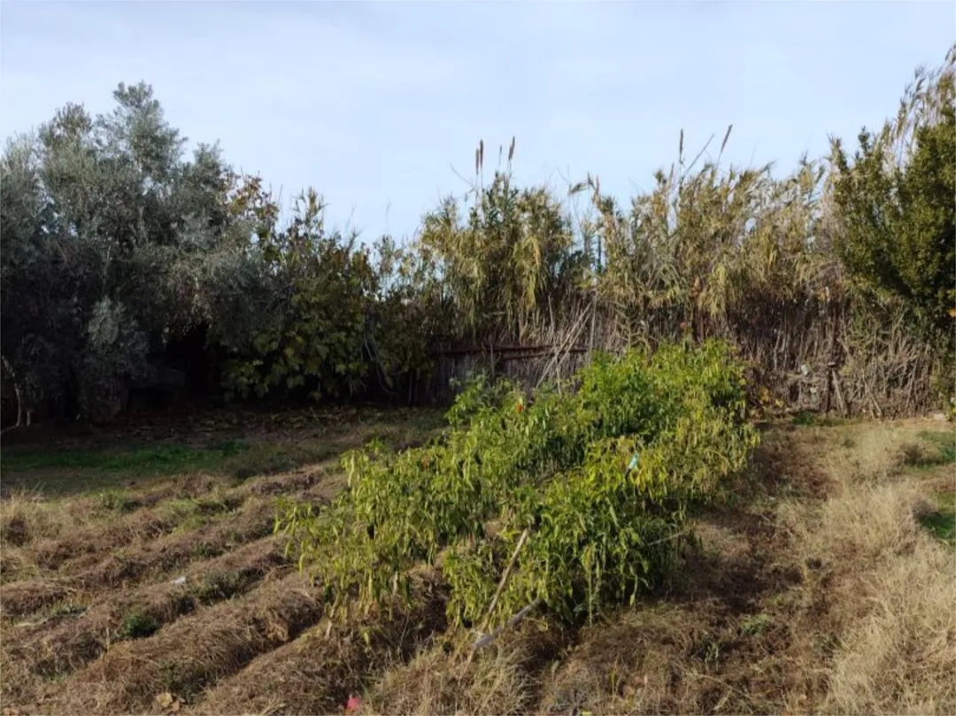 Chalet en  Camino de Cascajales 23 - Foto 19