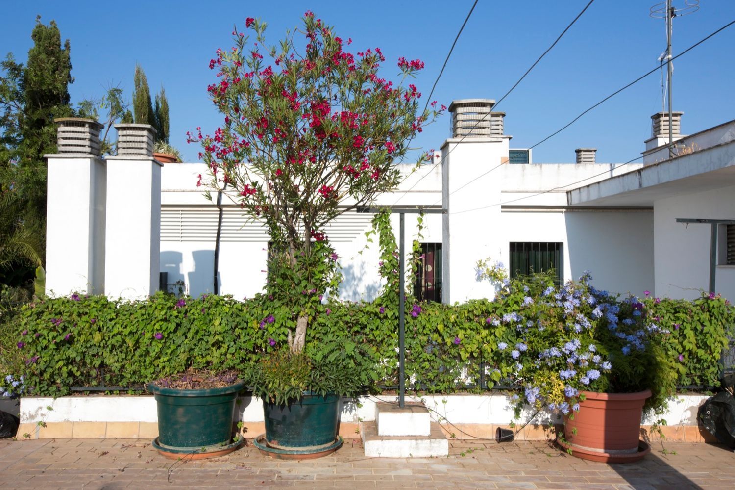 Piso en Calle Santa Marina, 30, San Julián - Foto 16