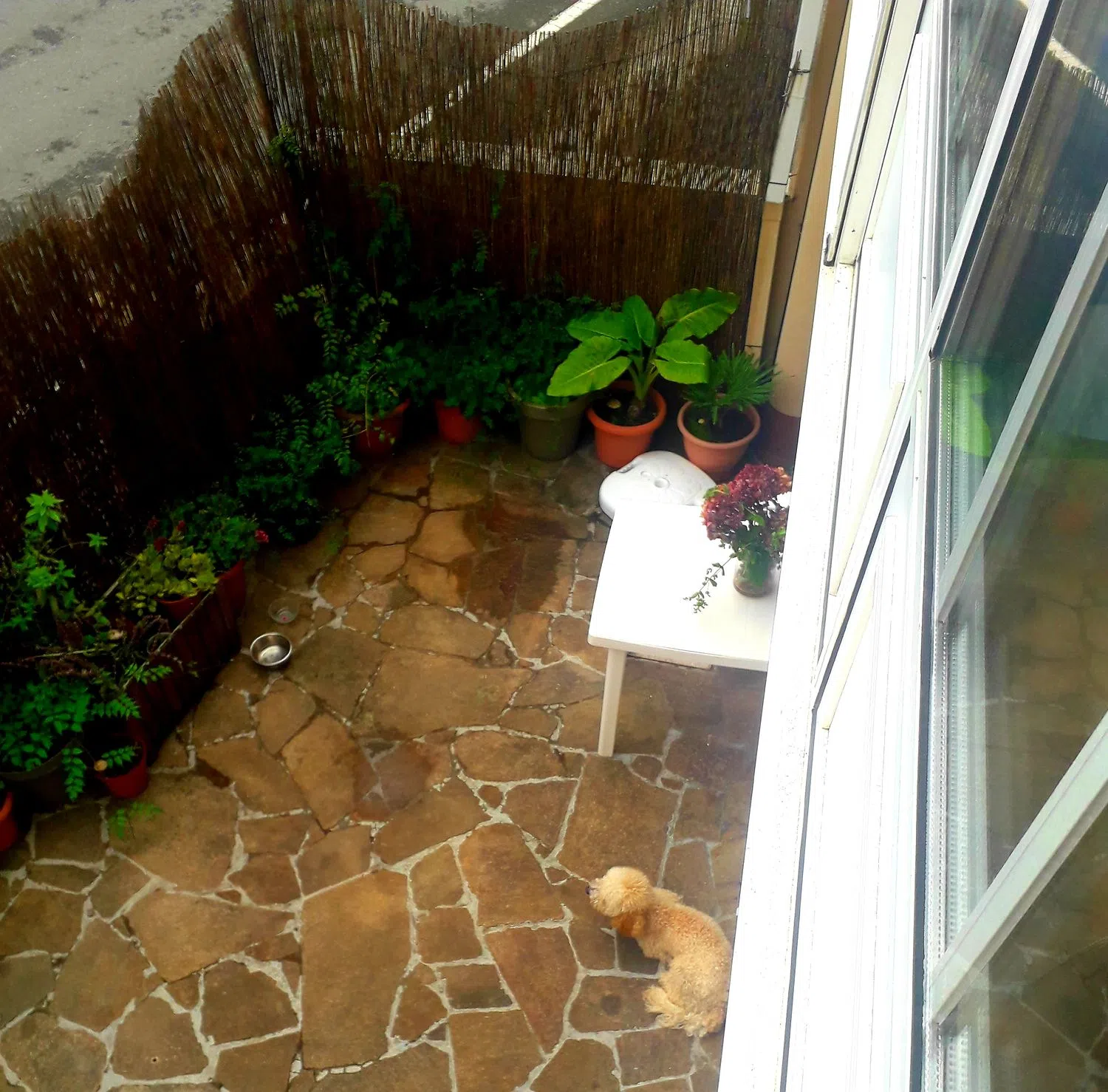 Chalet adosado en calle Celso Emilio Ferreiro, 63 - Foto 1