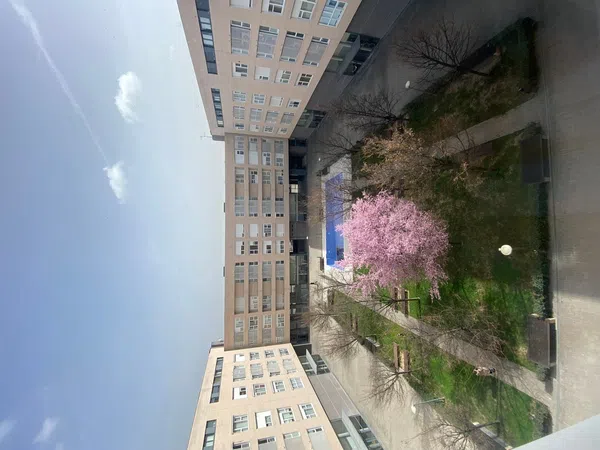 Piso en calle Ciudad Real, 2 - Foto 4