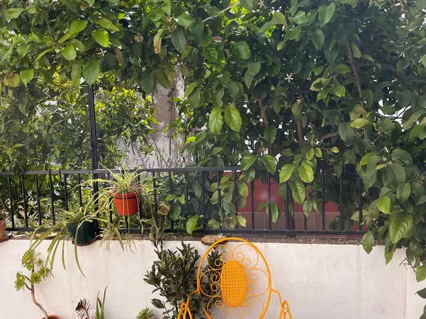 Alquiler de dúplex en Calle Guatimozín, 3 - Foto 10