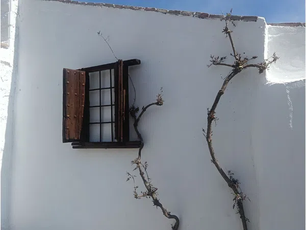 Casa rural en Camino de las Lomas de Villanueva s/n - Foto 22