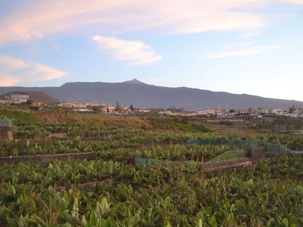 Piso en carretera de las Dehesas, 19 - Foto 4