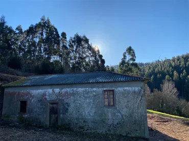 Finca rústica en  Lugar Casas Novas 6 - Foto 5