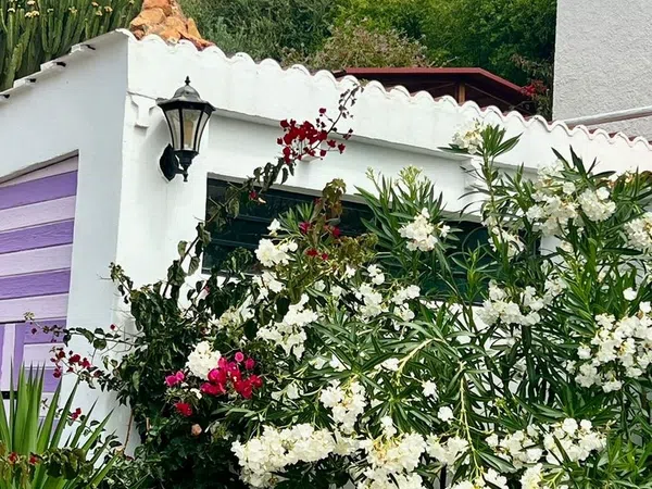 Cortijo en Cortijo en Haza Mora s/n - Foto 26